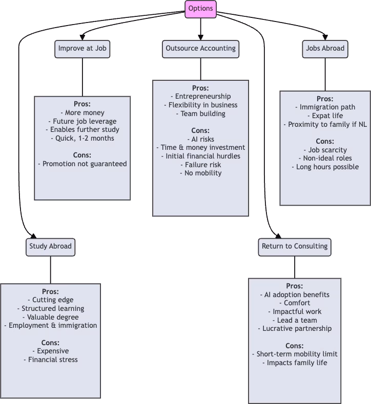 Decision chart comparing five career options and their pros and cons.
